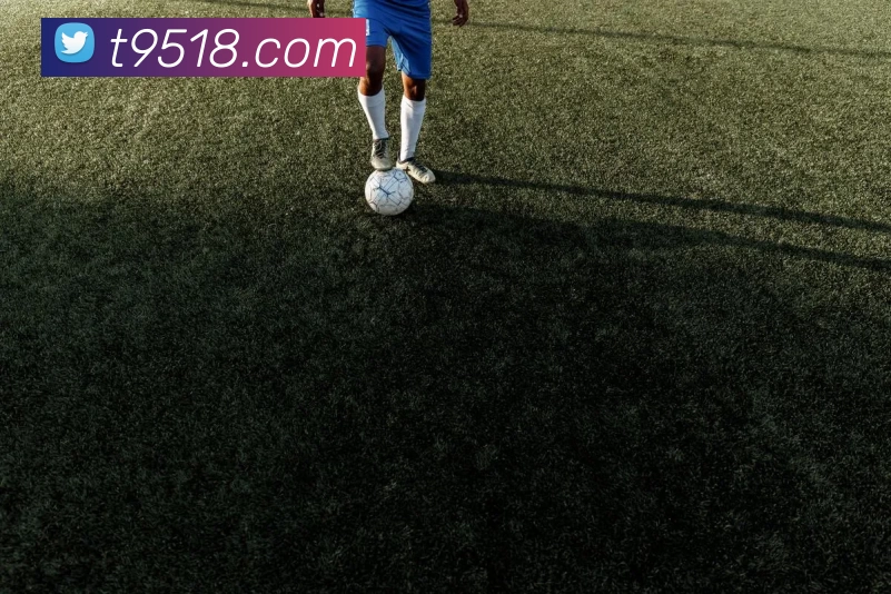 T9娱乐城官网APP 封面图